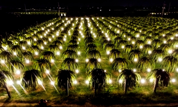 HTX chuyển mình trong thực hiện mục tiêu an ninh năng lượng