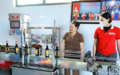 Trong tổng số 91 sản phẩm được đưa ra xem xét lần này, có 40 sản phẩm được công nhận đạt tiêu chuẩn 5 sao.