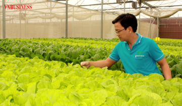 Công nghệ không thiếu, vì sao nông nghiệp đô thị chậm bứt phá?