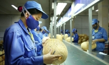 VCCI bác quan ngại đối với các cuộc điều tra của Hoa Kỳ theo Mục 301.