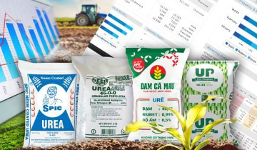 Lợi nhuận quý I bùng nổ, nhiều ngành tăng “bằng lần” nhưng 2 nhóm lại giảm