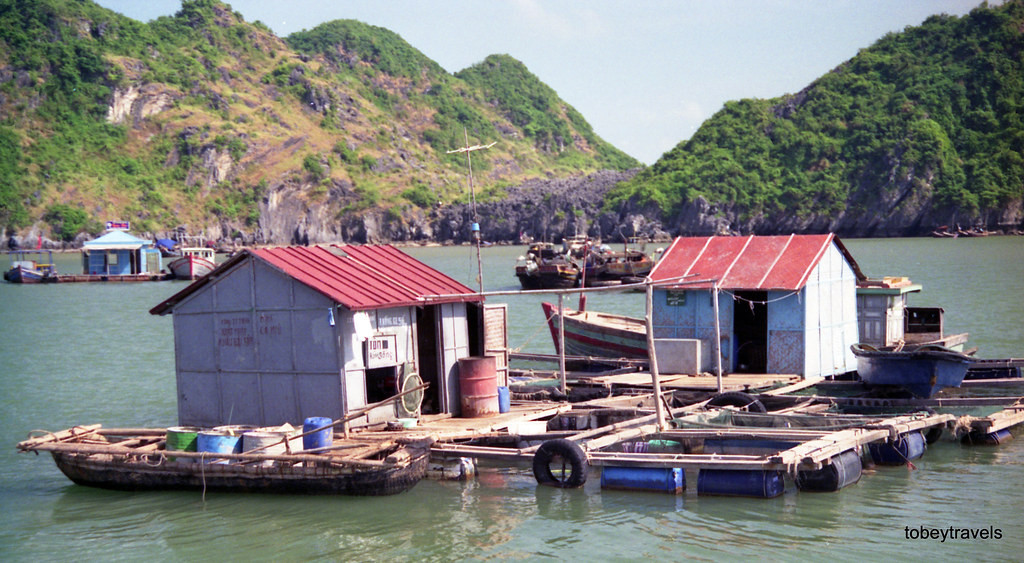 Các ô lồng, nhà bè được tổ hợp tác xây dựng bằng vật liệu thân thiện môi trường, vừa bảo vệ hệ sinh thái vừa tạo kiến trúc đẹp mắt, thu hút du khách.