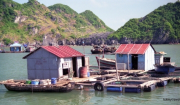 Nuôi biển, vươn biển và làm giàu từ biển: Từ hoài nghi đến những minh chứng cụ thể