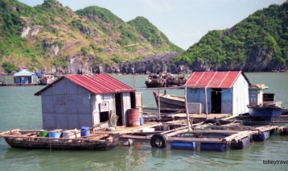 Các ô lồng, nhà bè được tổ hợp tác xây dựng bằng vật liệu thân thiện môi trường, vừa bảo vệ hệ sinh thái vừa tạo kiến trúc đẹp mắt, thu hút du khách.