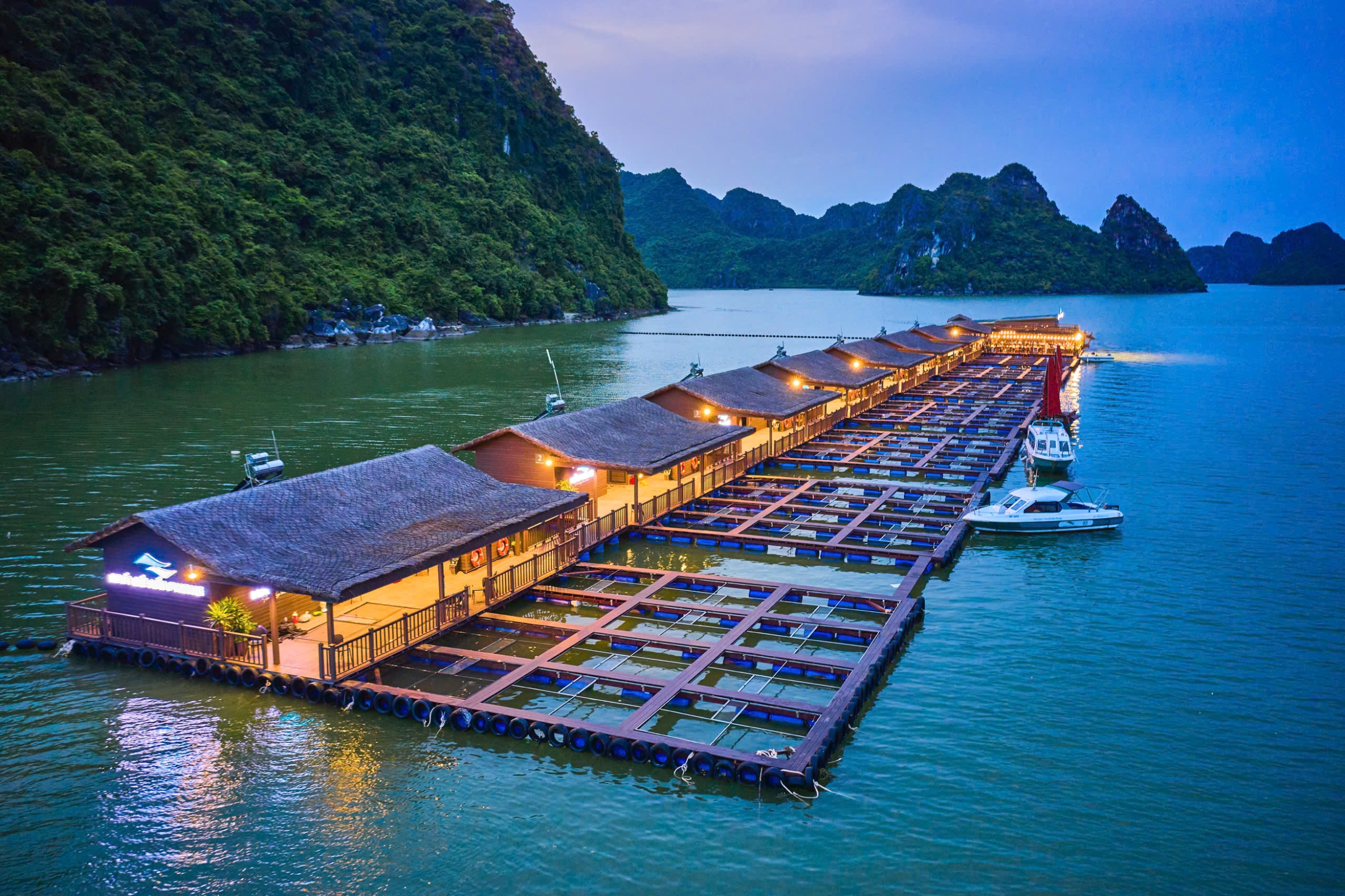 Hoạt động nuôi biển đã có sự chuyển mình rõ rệt, bài bản hơn. Ảnh:Nhà Bè Hai Phong