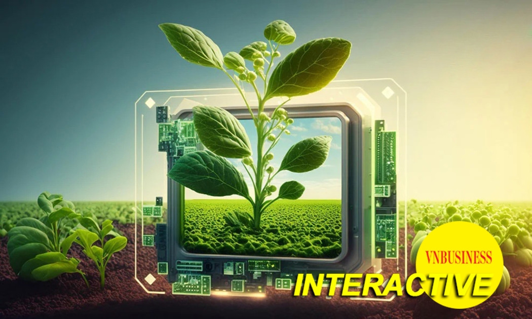 Khi nông sản có tên tuổi, HTX bước vào sân chơi giá trị cao