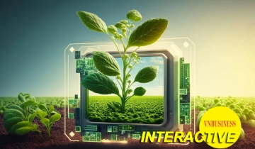 Khi nông sản có tên tuổi, HTX bước vào sân chơi giá trị cao