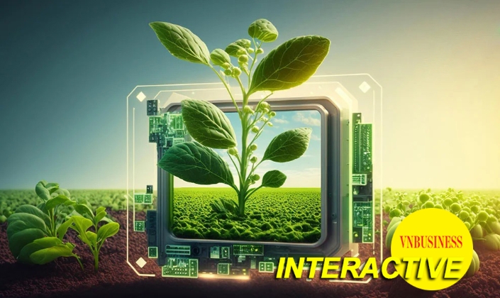 Khi nông sản có tên tuổi, HTX bước vào sân chơi giá trị cao