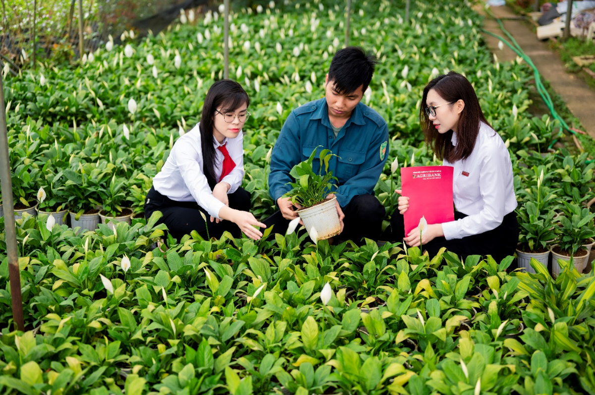 Agribank hướng dòng vốn vào lĩnh vực nông nghiệp xanh.