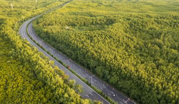 TP.HCM chuẩn bị “đại phẫu” hạ tầng Cần Giờ, đường Rừng Sác là trục xương sống