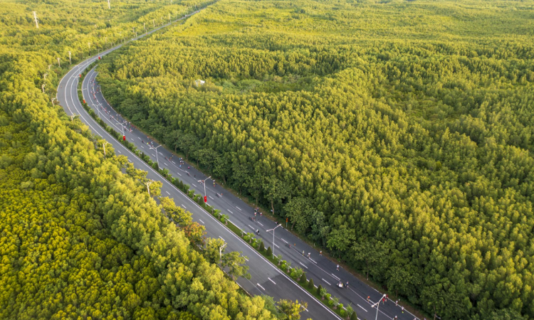 TP.HCM chuẩn bị “đại phẫu” hạ tầng Cần Giờ, đường Rừng Sác là trục xương sống