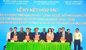 Khởi công xây dựng Nhà máy chế biến gạo chất lượng cao công suất 50.000 tấn tại Hưng Yên