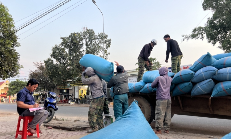 Từ 59 bao lúa đến “chợ số”, các HTX ở vùng biên Ea Súp đang kiến tạo chuỗi giá trị