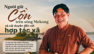 Người giữ Cồn trên sông Mekong và cái duyên đến với hợp tác xã