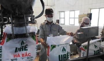 Đạm Hà Bắc báo lãi lớn nhưng còn lỗ lũy kế 1.863 tỷ, chưa đủ điều kiện công ty đại chúng