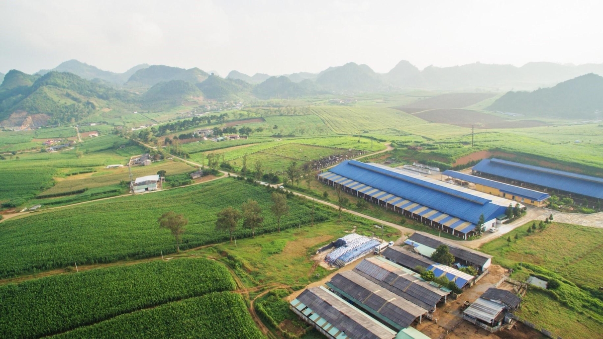 Mộc Châu Milk giữ kế hoạch năm 2026 ở mức thận trọng.