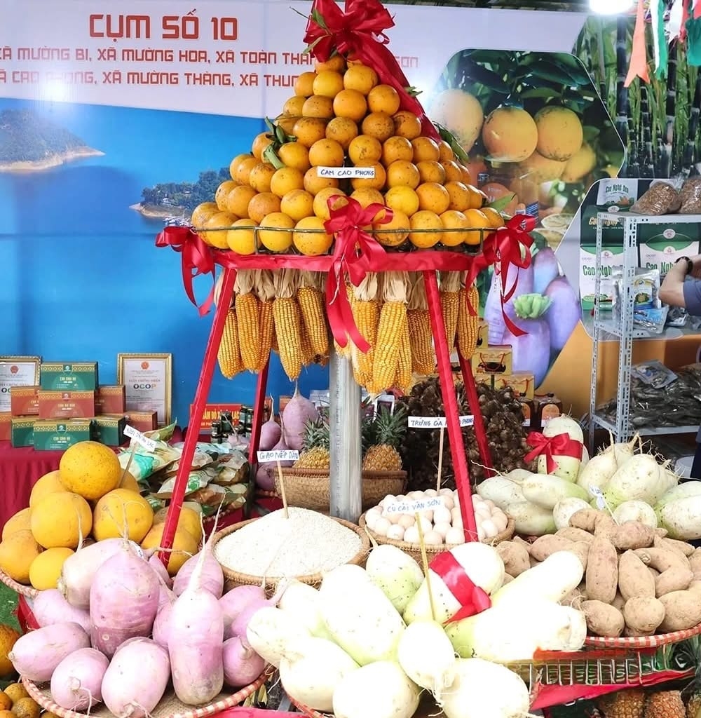 Cam Cao Phong cùng nhiều nông sản địa phương sẽ được trưng bày tại các gian hàng.
