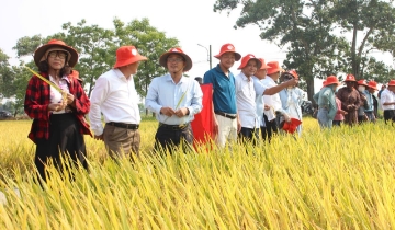 Đổi mới HTX - động lực phát triển kinh tế nông nghiệp bền vững