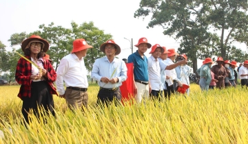 Đổi mới HTX - động lực phát triển kinh tế nông nghiệp bền vững