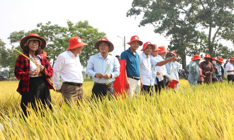 Đổi mới HTX - động lực phát triển kinh tế nông nghiệp bền vững