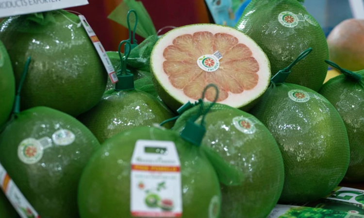 Lô bưởi Việt đầu tiên chính thức được thông quan vào Úc