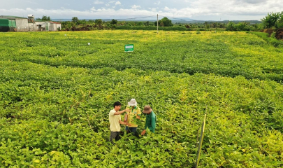 Câu chuyện