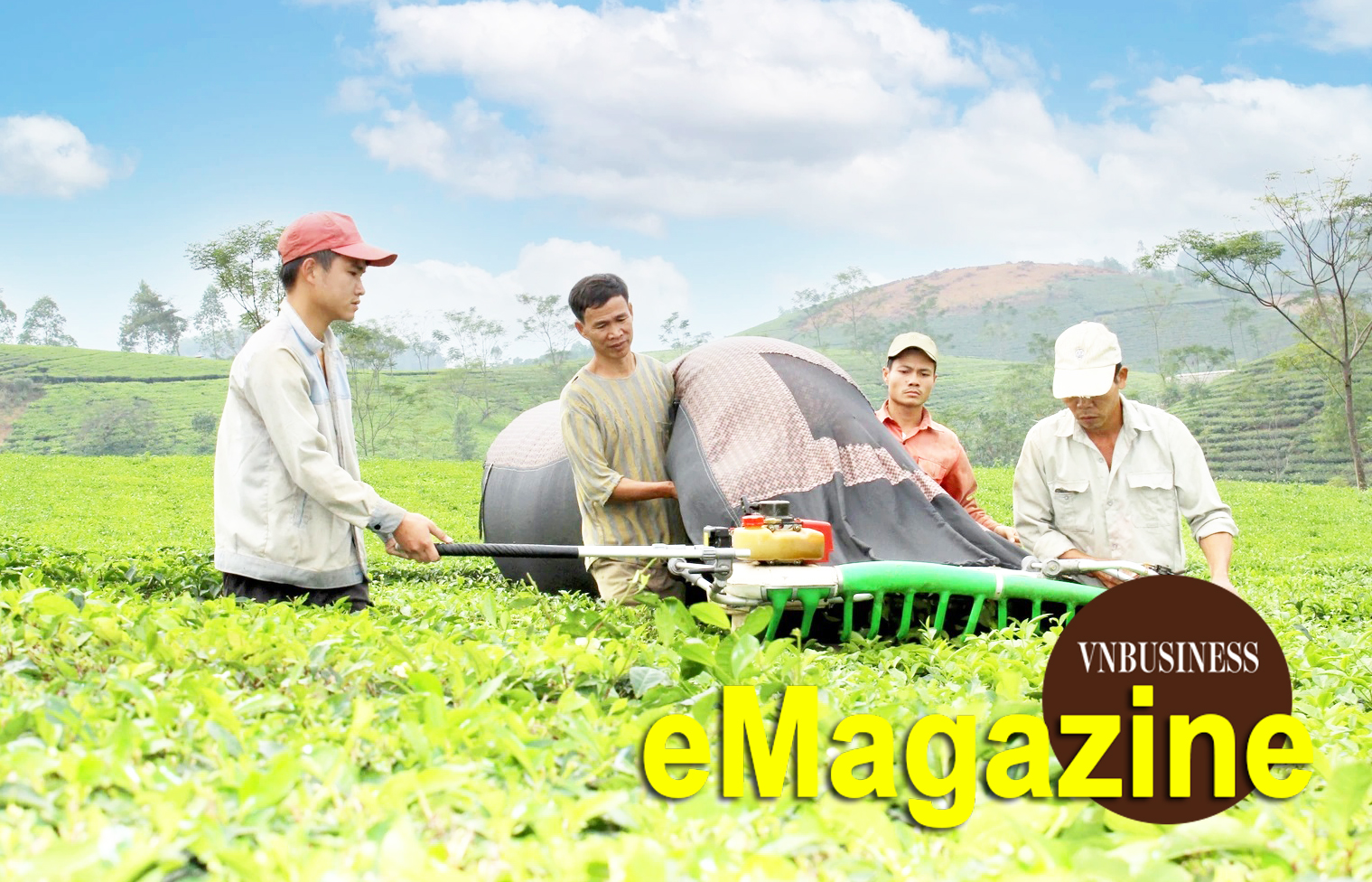 Khi chè quê, giò sạch lên sàn online, HTX đổi cách làm để ‘sống khỏe’