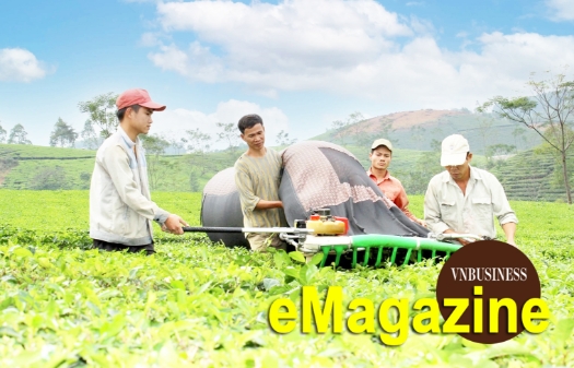 Khi chè quê, giò sạch lên sàn online, HTX đổi cách làm để ‘sống khỏe’