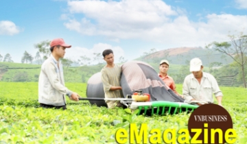 Khi chè quê, giò sạch lên sàn online, HTX đổi cách làm để ‘sống khỏe’