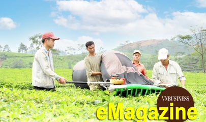 Khi chè quê, giò sạch lên sàn online, HTX đổi cách làm để ‘sống khỏe’