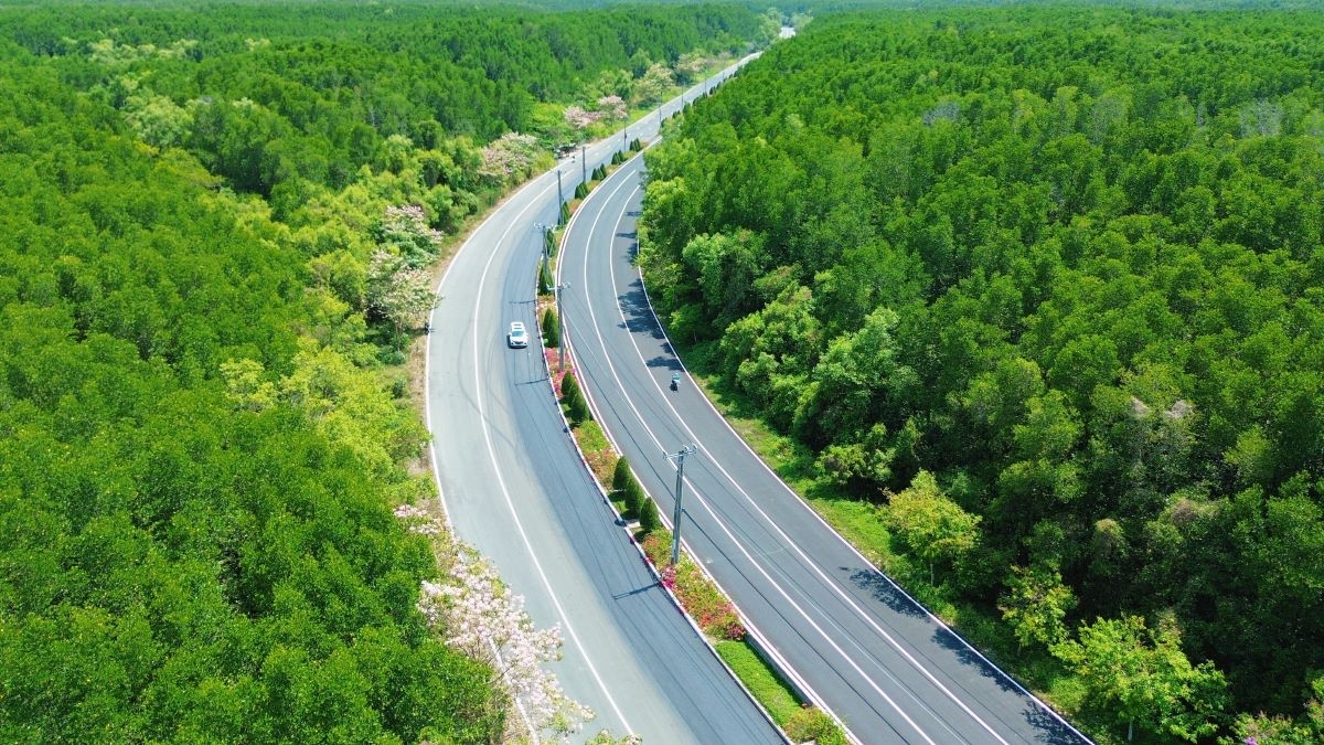 Sắc xanh phủ kín cung đường chạy VnExpress Marathon Green Paradise Cần Giờ 2026