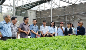 “Giờ G” truy xuất nguồn gốc: HTX chạy đua số hóa dữ liệu vùng trồng