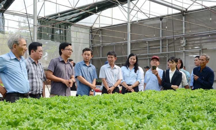 “Giờ G” truy xuất nguồn gốc: HTX chạy đua số hóa dữ liệu vùng trồng