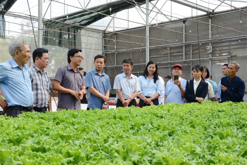 “Giờ G” truy xuất nguồn gốc: HTX chạy đua số hóa dữ liệu vùng trồng