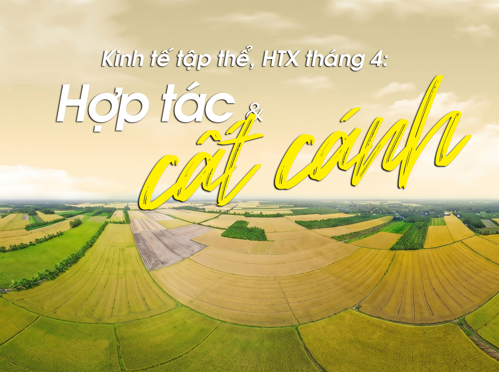 Ấn tượng kinh tế tập thể, HTX tháng 4: Hợp tác và cất cánh