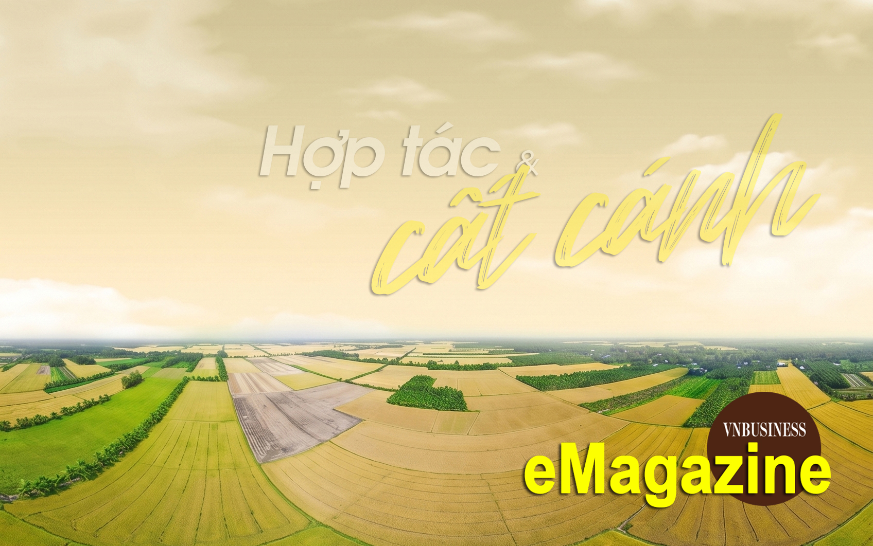 Ấn tượng kinh tế tập thể, HTX tháng 4: Hợp tác và cất cánh