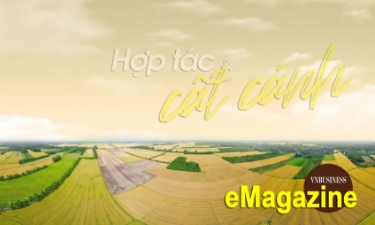 Ấn tượng kinh tế tập thể, HTX tháng 4: Hợp tác và cất cánh