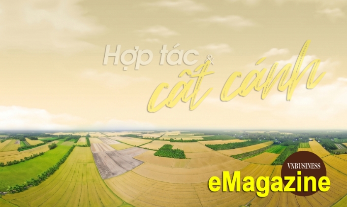 Ấn tượng kinh tế tập thể, HTX tháng 4: Hợp tác và cất cánh