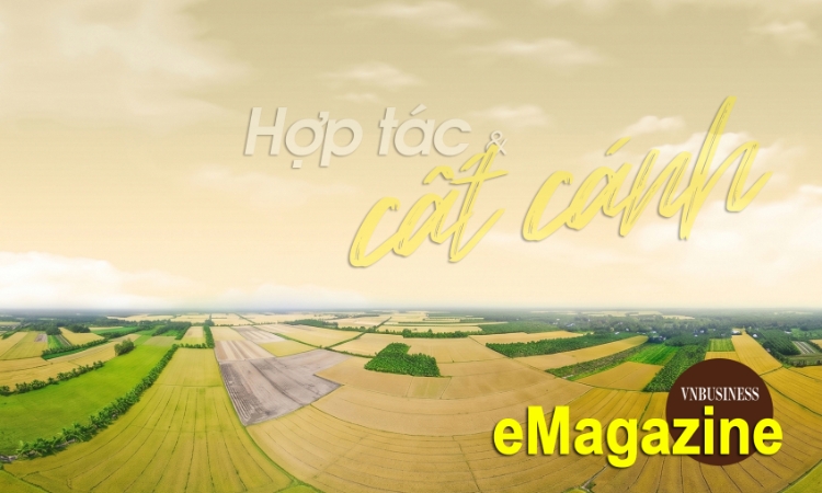 Ấn tượng kinh tế tập thể, HTX tháng 4: Hợp tác và cất cánh