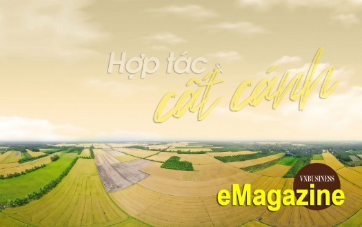 Ấn tượng kinh tế tập thể, HTX tháng 4: Hợp tác và cất cánh