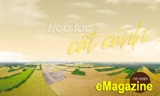 Ấn tượng kinh tế tập thể, HTX tháng 4: Hợp tác và cất cánh