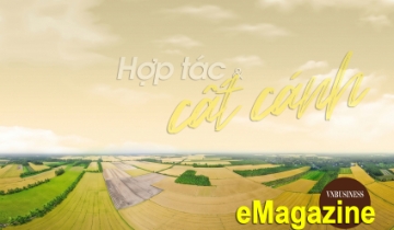 Ấn tượng kinh tế tập thể, HTX tháng 4: Hợp tác và cất cánh