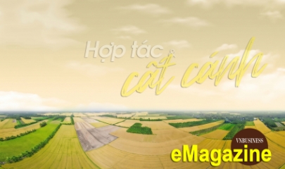 Ấn tượng kinh tế tập thể, HTX tháng 4: Hợp tác và cất cánh