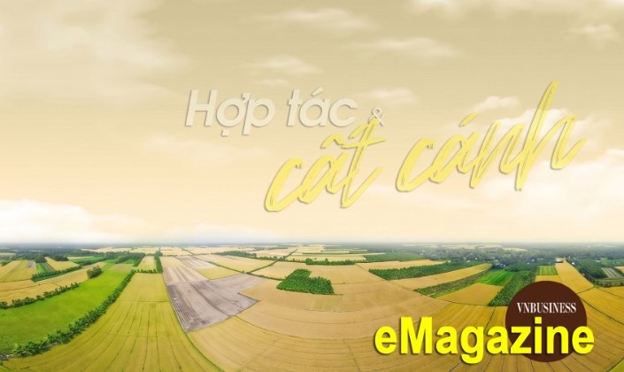 Ấn tượng kinh tế tập thể, HTX tháng 4: Hợp tác và cất cánh