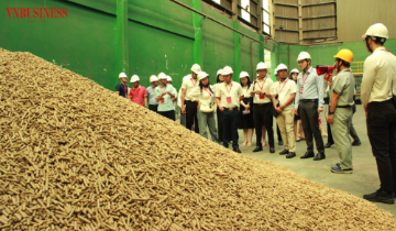 Khơi thông điểm nghẽn để dòng chảy tái chế vận hành thực sự