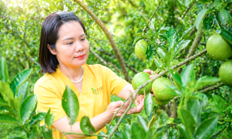 “Cú hích mềm” cho kinh tế tập thể chuyển mình