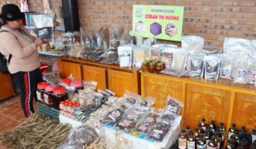 Hơn 2,5 triệu hộ kinh doanh không phải nộp thuế, Cục Thuế chỉ đạo khẩn