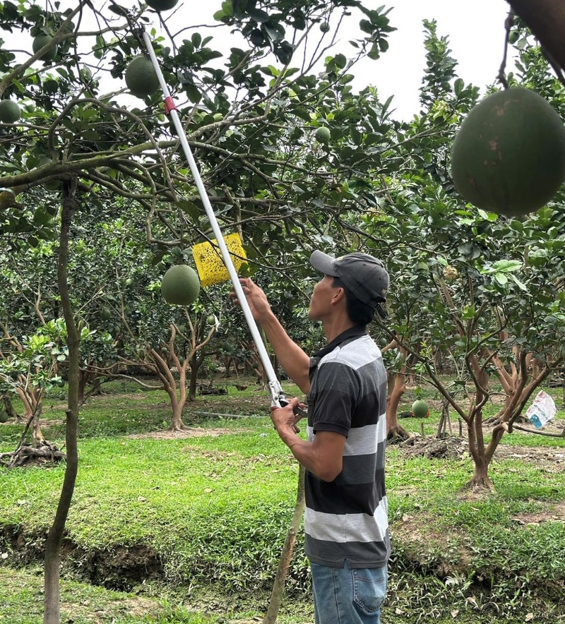 Thị trường không thiếu người mua, chỉ thiếu nông sản đạt chuẩn