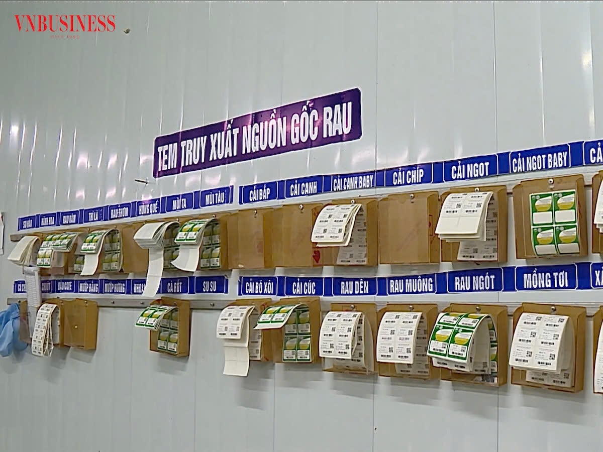 Tem truy xuất nguồn gốc của HTX cho phép người tiêu dùng quét bằng điện thoại thông minh.