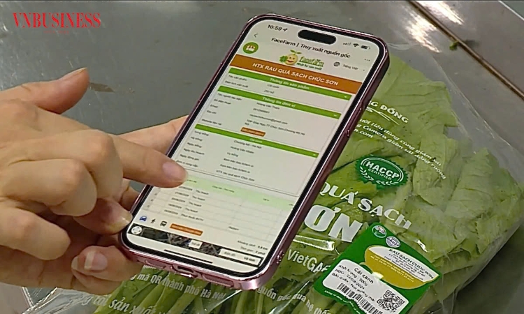 Hiện thực hóa Nghị quyết của Đảng: Để HTX là